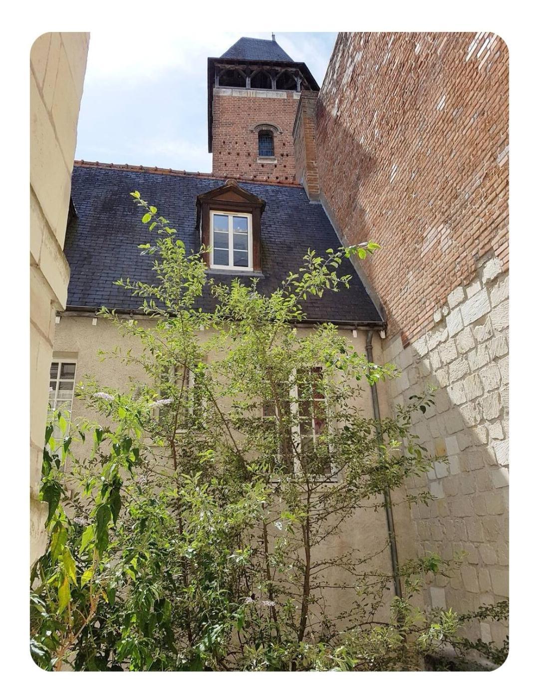 Havre De Paix Avec Exterieur Au Coeur Du Vieux Tours Apartment Exterior photo
